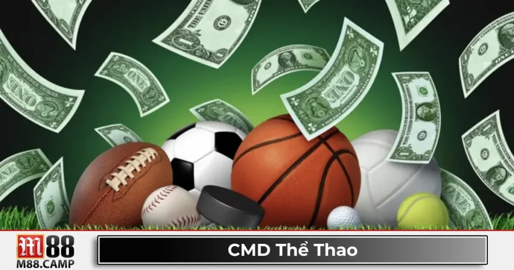 CMD thể thao M88 là gì? Giới thiệu nền tảng cá cược chuyên nghiệp